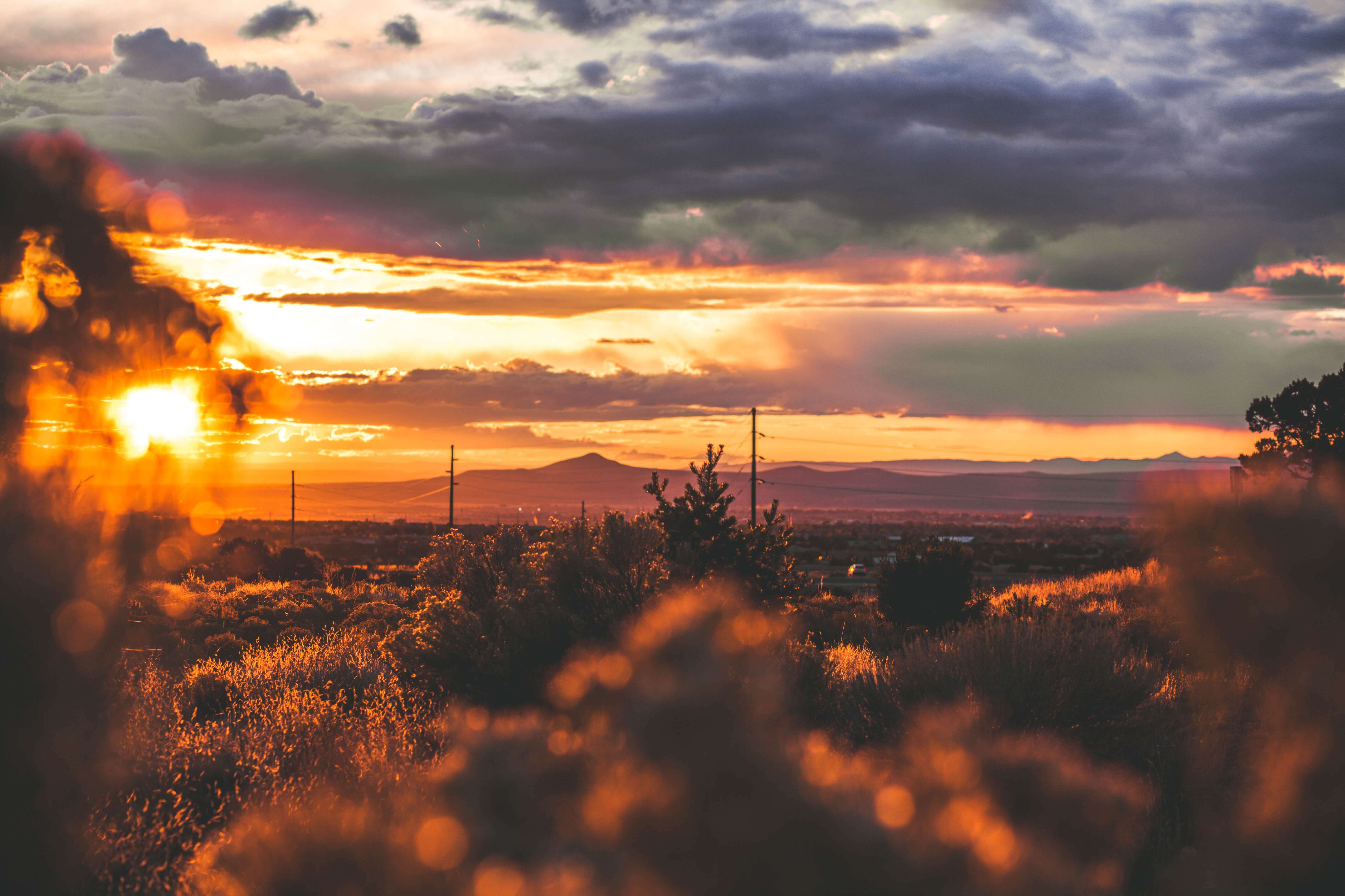 About The HealthCare Partnership at the University of Arizona